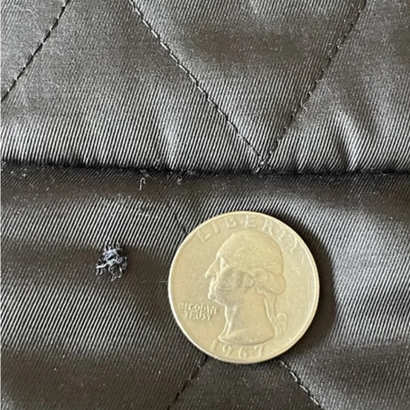 Burberry Black Quilted Jacket; Tartan Lining & Mandarin Collar; M; SEE CALLOUTS! - Picture 14 of 16